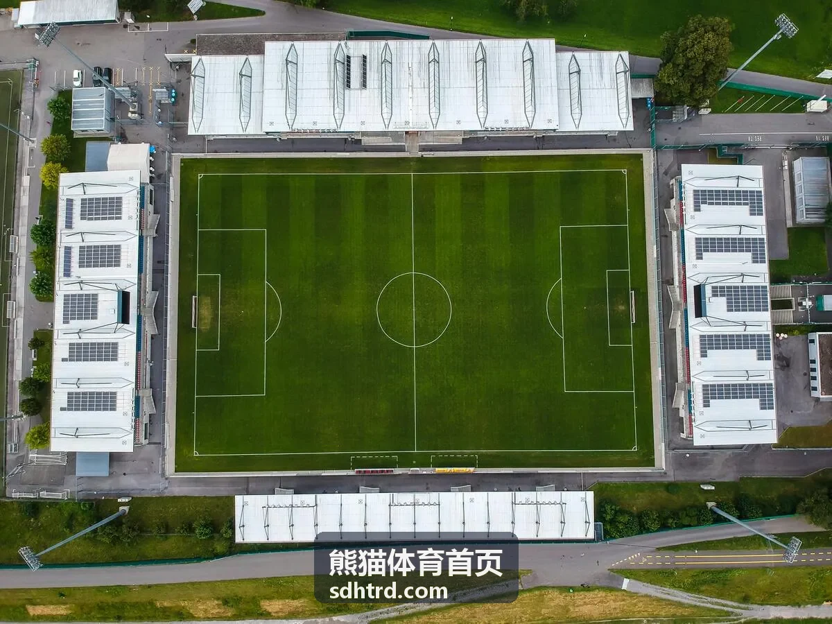 熊猫体育首页青少年篮球训练营课堂